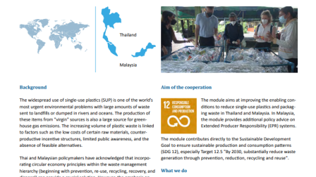 Collaborative Action for Single-Use Plastic Prevention in Southeast Asia